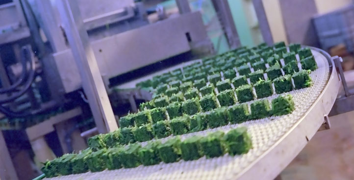 agro alimentaire